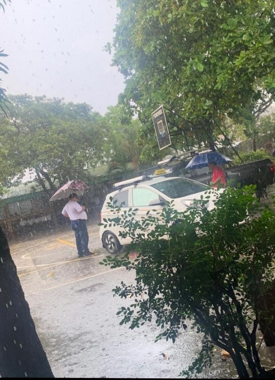 Jueputa viejo me jodistes el carro